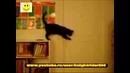 Умный кот
