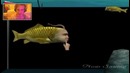 ((PewDiePie)) Seaman Knows My Secrets (Day 2)