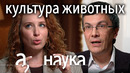 Александр Марков. Есть ли у животных политика, культура, дружба и справедливость? // Наука