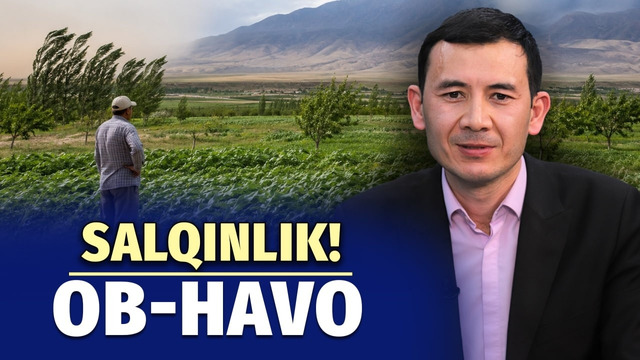 Jazirama ortidan salqinlik