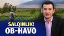 Jazirama ortidan salqinlik