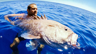 Giant grouper deep sea fishing giving fish away during food shortage – ep 177