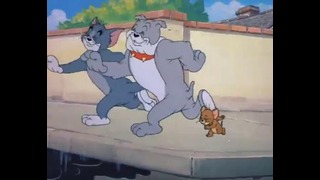 Tom and Jerry – 15 Серия (2-Сезон)