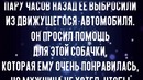 Бездомный мужчина спас собаку и изменил себе жизнь