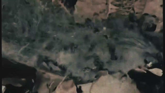 Waking the Cadaver – Corpse Decomposition (Official Video 2021)