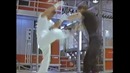 Великолепный бой! Великолепный Джеки Чан! В фильме Великолепный