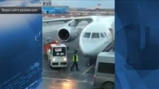 Грузчики в аэропорту Пулково вышвырнули багаж