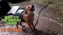 Чего вам не стоит бояться