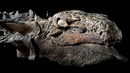 Невероятно! ученые нашли то, что может изменить историю