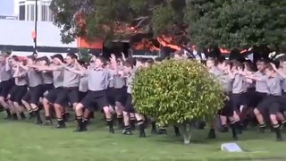 Боевой танец Хака Маори на похоронах учителя в Новой Зеландии