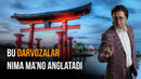 Yaponiya Madaniyatidan Nimalarni Olsak Bo’ladi