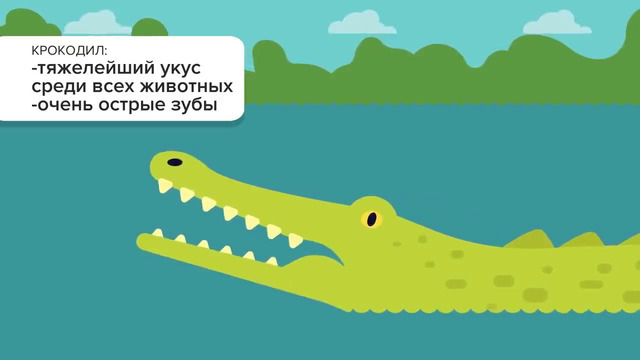 Мир инфографики – Крокодиловые ножницы худшие наказания в истории человечества