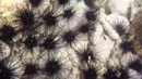 Фильм «Внутренние и внешние миры» Медитация и самопознание