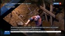 На Алтае нашли швейную иглу, которой более 50 тысяч лет