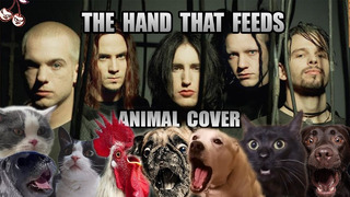 Nine Inch Nails – The Hand That Feeds (Animal Cover)