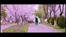 Свадебный день Александра и Натальи (прогулка)