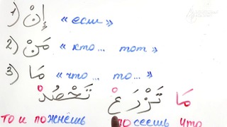 Грамматика Арабского языка §29 Слова усекающие два глагола (Часть 1)