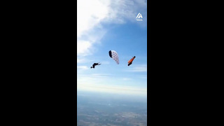 Wing Suit and Canopy Pilot Coordinate Mind-Blowing Trick | People Are Awesome #shorts