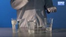 Яйца в воде – опыты с плотностью
