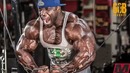Аким уильямс сравнялся с силовыми ронни коулмена (эксклюзив, fibo 2016)