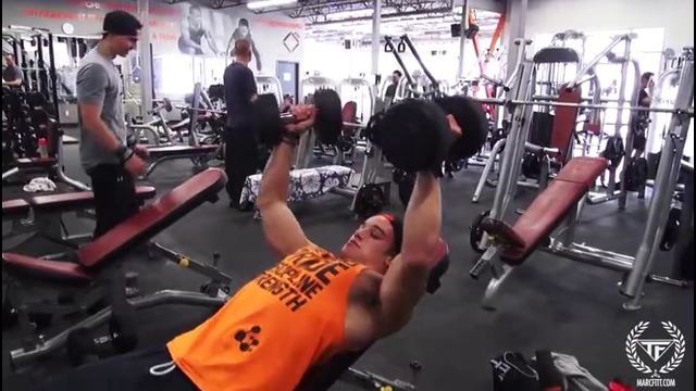 Animal Chest Workout with Marc Fitt