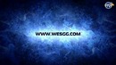 WESgg Cyber School 25 (1-Сезон)