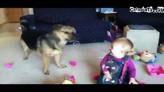 Ребенок, собака и пузыри