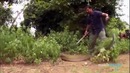 Самые опасные пляжи в мире