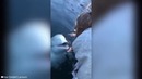 Белуха и упавший в море телефон