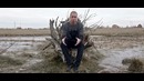 Лебедь – Равны. Sound By Scady