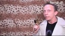 Иван Охлобыстин в +100500 (БЕЗ мата)
