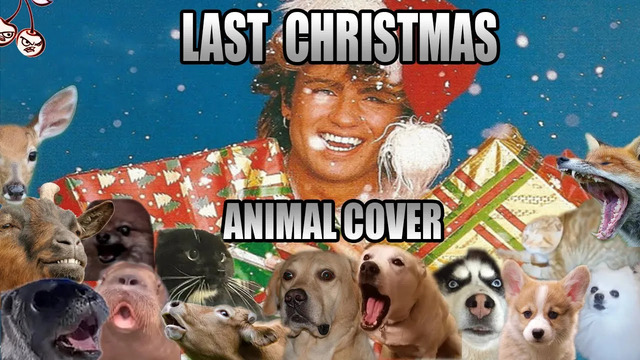 Wham! – Last Christmas (Animal Cover)