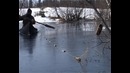 Счастливые люди Весна ( Часть 1 )
