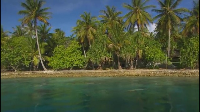 My Little Pony Trip – Tahiti