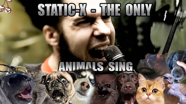 Static-X – The Only (Animal Cover)
