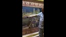 Очень дорогие красивые ковры