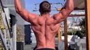 Bodybuilding – Aesthetic To The Max