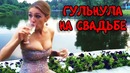 Приколы от кота пуфика. Голодная баба на свадьбе