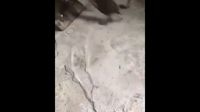 Ибо нефиг