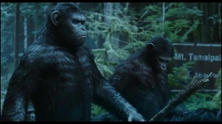 Планета обезьян: Революция (Dawn of the Planet of the Apes) – дуб. трейлер №2