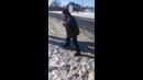 Мастер бесконтактного боя