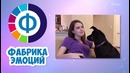 7 ЗАДАЧ которые проверят твой интеллект