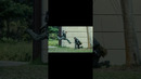 Videogame Pause Logic, Lol