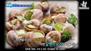 Law of the Jungle in New Caledonia – Episode 2 (221)