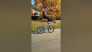 The talent of balancing on handlebars #cyclinglife