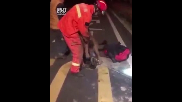 Собака горячо благодарит пожарного за спасение