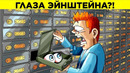 Секреты, Найденные В Ячейках И Сейфах
