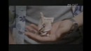 Nrg – Forgiveness