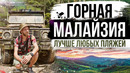 Потерялись в джунглях. Чайные плантации и трекинг в горах Малайзии. MALAYSIA. TANAH RATA