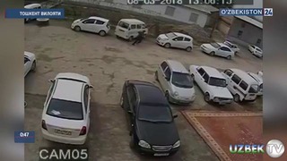 Масжид автотураргоҳидаги ўғрилик